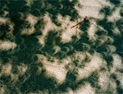 1994 annular eclipse